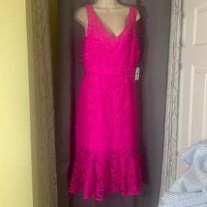 Alexis Admor pink lace dress